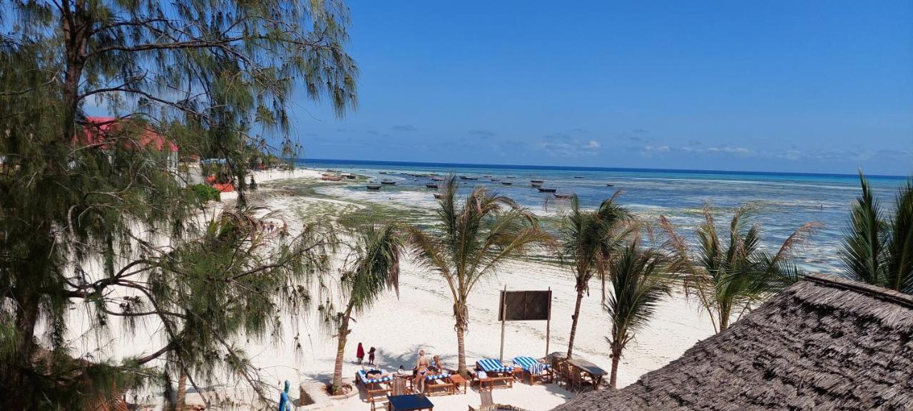 Aquarium Beach House Nungwi Kültér fotó